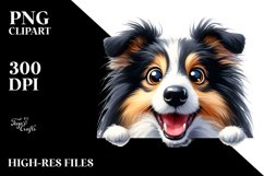 Crazy Looking Collie | Sublimation | Clipart Product Image 3