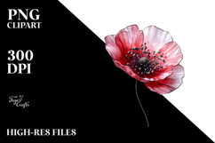 Poppy PNG Product Image 2