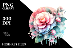Camellia PNG Product Image 2