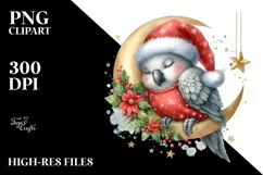 dressed For Christmas Baby Parrot | Sublimation | Clipart Product Image 3