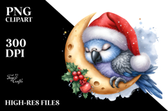 dressed For Christmas Baby Parrot | Sublimation | Clipart Product Image 2