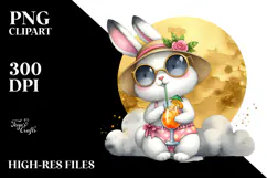 Cute Rabbit in Beachwear, Transparent PNG Product Image 2