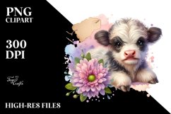 Highland Cow with Chrysanthemum PNG Product Image 2