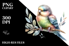 Digital Watercolor Baby Parrot PNG Product Image 2