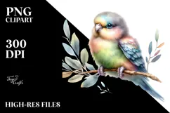 Digital Watercolor Baby Parrot PNG Product Image 2