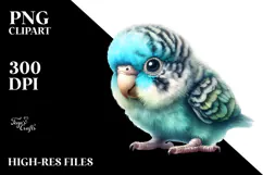 Digital Watercolor Baby Parrot PNG Product Image 2