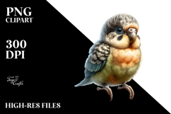 Digital Watercolor Baby Parrot PNG Product Image 2