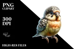 Digital Watercolor Baby Parrot PNG Product Image 2