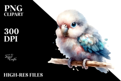 Digital Watercolor Baby Parrot PNG Product Image 2
