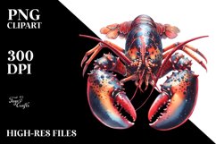 Sublimation|Clipart Product Image 3