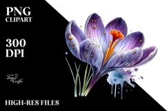 Detailed Shiny Crocus | Sublimation | Clipart Product Image 3