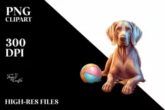 Weimaraner Sitting in Sand at Sunset | Clipart Product Image 3