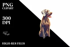 Weimaraner Sitting in Sand at Sunset | Clipart Product Image 1