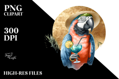 Beach Parrot, Creative PNG Product Image 2