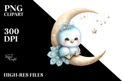 Santa Peacock with Gift PNG Product Image 2