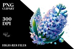 Shiny Hyacinth | Sublimation | Clipart Product Image 1