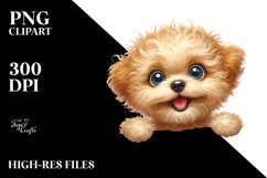 Funny Furr Bichpoo | Sublimation | Clipart Product Image 1