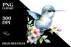 Watercolor Cute Baby Hummingbird PNG Product Image 2
