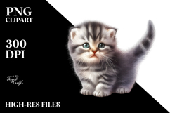 Adorned Baby Cat Sleeping PNG Product Image 2