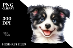 Cute Border Collie Dog with Big Eyes, PNG Product Image 2