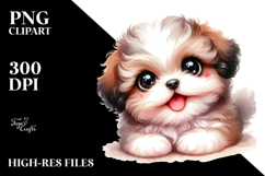 Baby Bichpoo, Transparent PNG Product Image 2