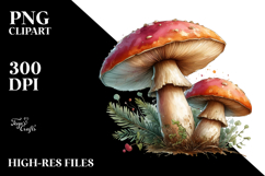 Detailed Mushroom, Transparent PNG Product Image 2