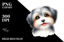 Cute Havanese Dog with Big Eyes, PNG Product Image 2