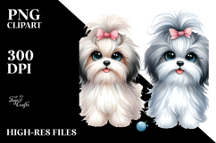Cute Havanese Dog with Big Eyes, PNG Product Image 2