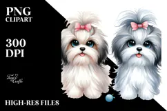 Cute Havanese Dog with Big Eyes, PNG Product Image 2
