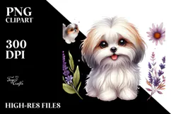 Cute Havanese Dog with Big Eyes, PNG Product Image 2