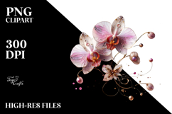 Orchid, Transparent PNG Product Image 2
