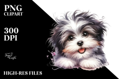 Baby Havanese PNG Product Image 2