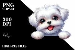 Funny Maltese Big Eyes | Sublimation | Clipart Product Image 3