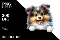 Cute Crazy Baby Shetland Sheepdog Clipart Product Image 1