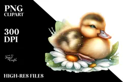 Sleeping Baby Duck on a Flower, PNG Product Image 2
