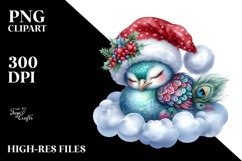 Baby Peacock Christmas Clipart Product Image 2