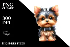 Cute Yorkshire Terrier Dog with Big Eyes, PNG Product Image 2