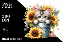 Cute Baby Cat with Big Eyes PNG Product Image 3