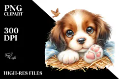 Cute Baby Brittany with Big Eyes PNG Product Image 2