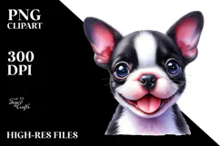 Cute Boston Terrier Dog with Big Eyes, PNG Product Image 2