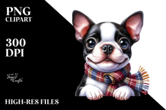 Cute Boston Terrier Dog with Big Eyes, PNG Product Image 2