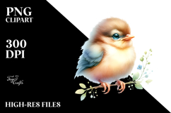 Cute Baby Bird PNG Product Image 2