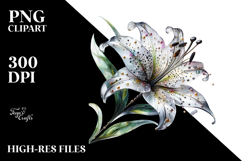Lily with Metallic Insertions, Watercolor PNG Product Image 2
