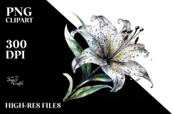 Lily with Metallic Insertions, Watercolor PNG Product Image 2
