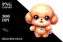 Cute Bichpoo Dog with Big Eyes, PNG Product Image 2