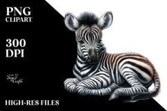 Cute Baby Zebra with Big Eyes, PNG Product Image 2
