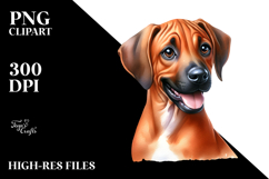 Sublimation|Clipart Product Image 2