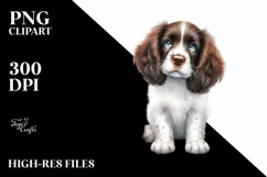 a Cute Sitting English Springer Spaniel with Christmass Product Image 3