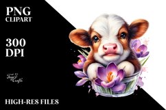 Cute Baby Highland Cow with Crocus Floral Frame PNG Product Image 2