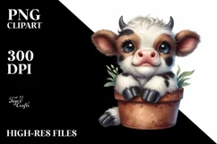 Smiling Baby Highland Cow in Pot | Clipart Product Image 1